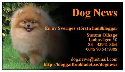 dognewsvisitkort1.jpeg dognewsvisitkort1.jpeg
