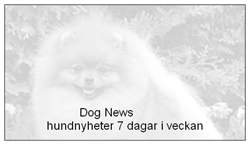 dognewsvisitkortbaksida.jpeg