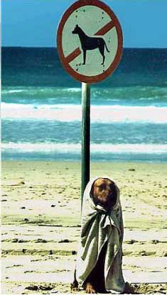 img_4798a376ddea1.jpg img_4798a376ddea1.jpg