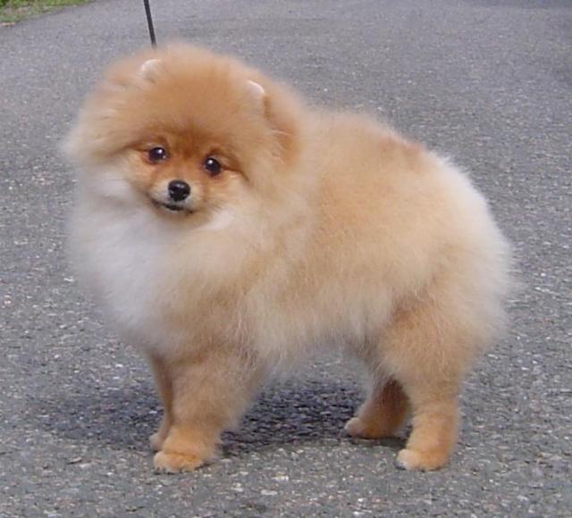 Indy5månade.JPG Indy5månade.JPG