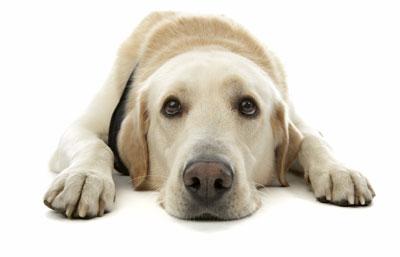 TK-lathund.JPG TK-lathund.JPG