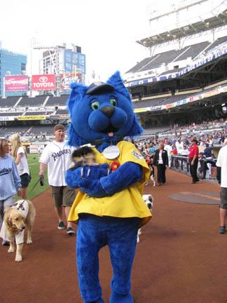 parade.jpeg parade.jpeg