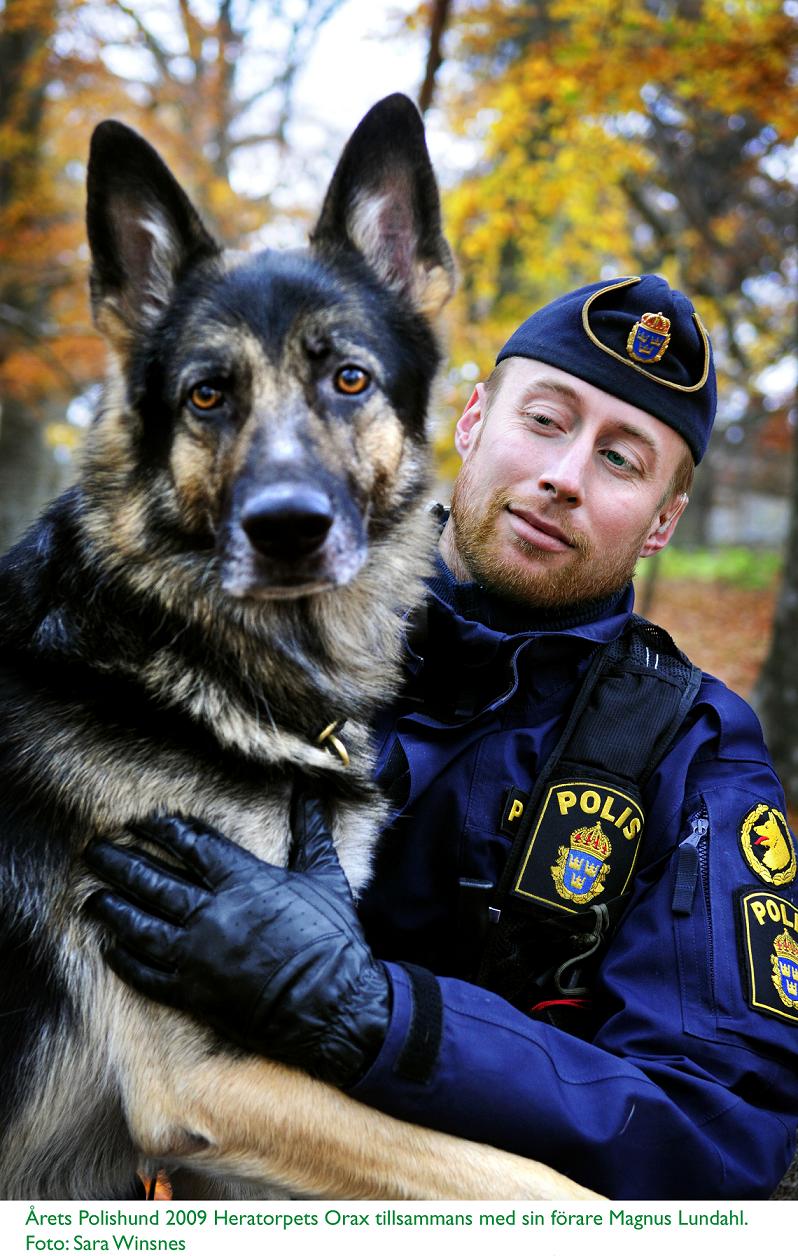 Polishund 2009 Orax.JPG