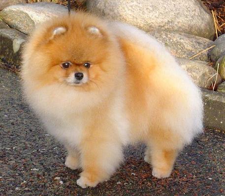 Smileyvisit.JPG Smileyvisit.JPG