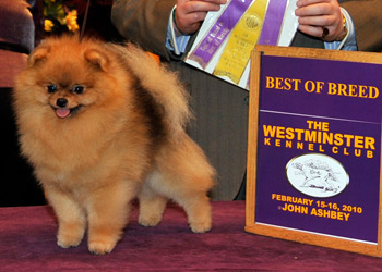 windso.jpg windso.jpg