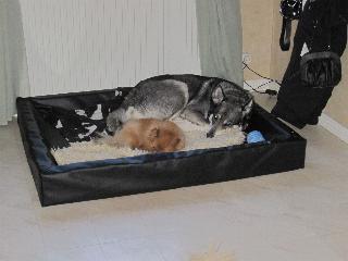 2 mINI O dIVA.JPG 2 mINI O dIVA.JPG