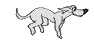 dog0043.gif