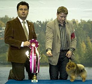 Unbelievablegroup1.JPG Unbelievablegroup1.JPG