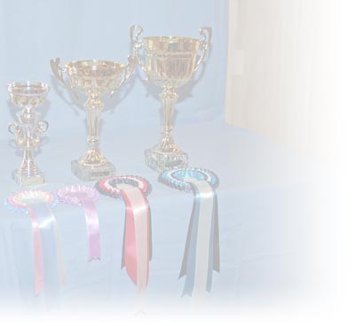 Pokaler1.jpg Pokaler1.jpg