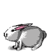 rabbit3.gif