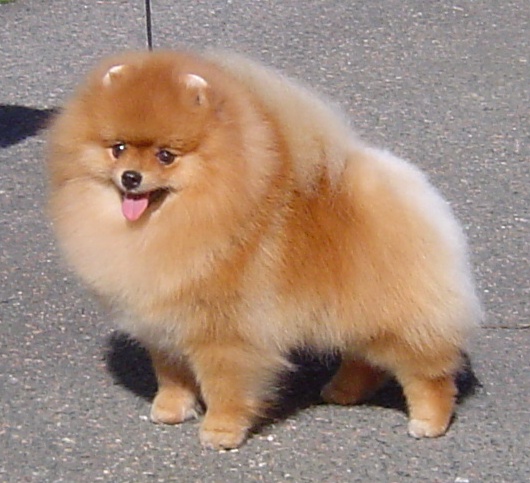 Indy13.jpg Indy13.jpg