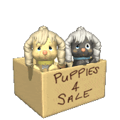Puppies_4_Sale.gif