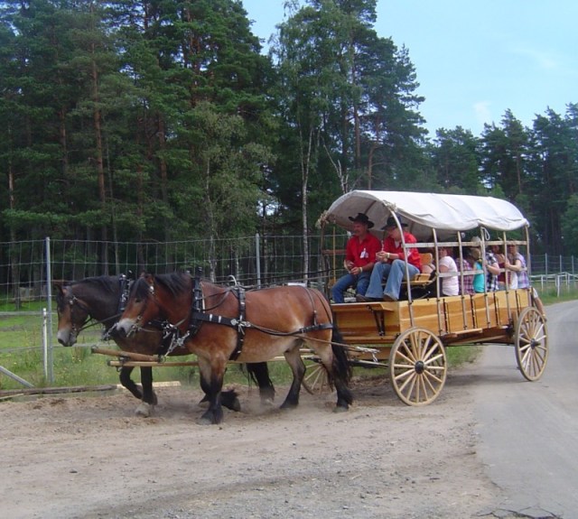 ChaparralDeligens.jpg ChaparralDeligens.jpg