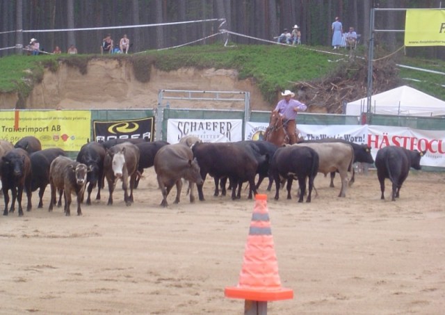 ChaparralHerdwork.jpg ChaparralHerdwork.jpg