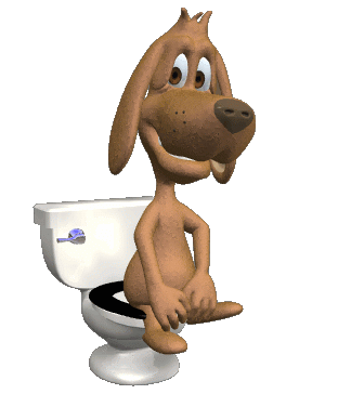 Dog Toilet.gif