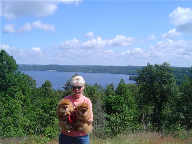 hyltenäs kulle4.jpg