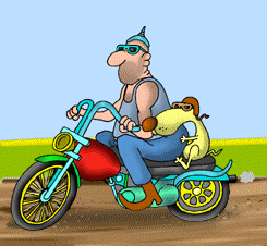 dogs on bikes cartoon.gif