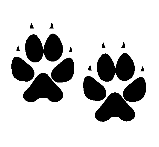 dog paws.GIF dog paws.GIF