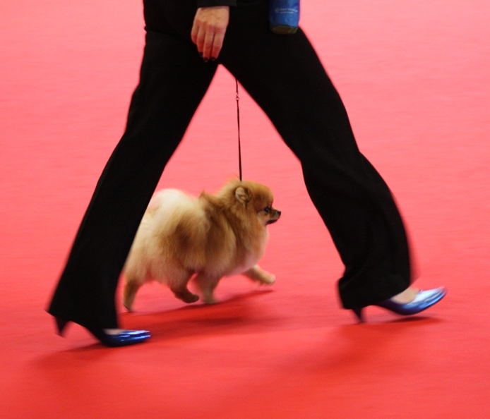 Amber WDS.jpg Amber WDS.jpg