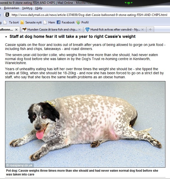 acassie.jpg acassie.jpg