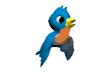 bluebird-animated.gif