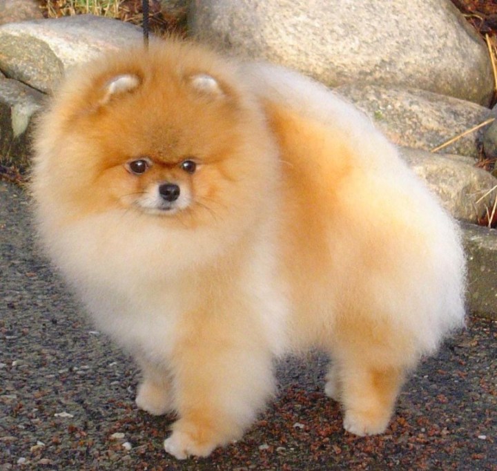 Smileyny.jpg Smileyny.jpg