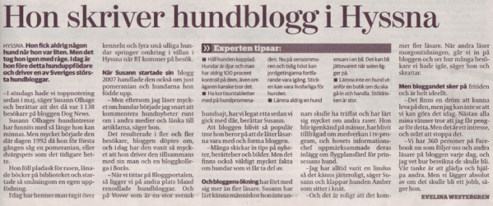 bloggen