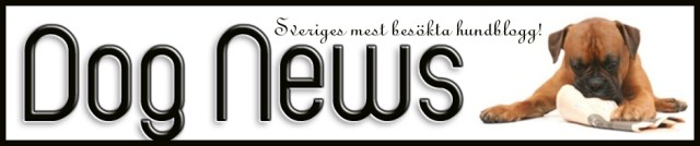 Dognewslogga1