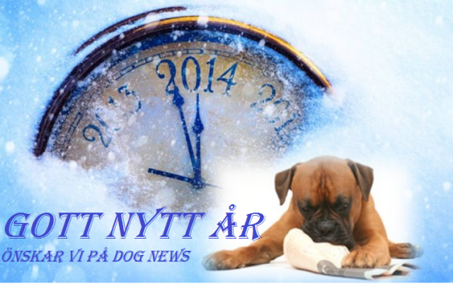 gottnyttårDogNews14