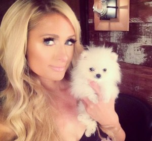 paris-hilton2