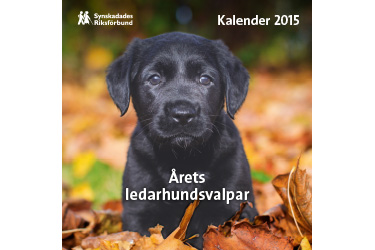 kalender2015-fram
