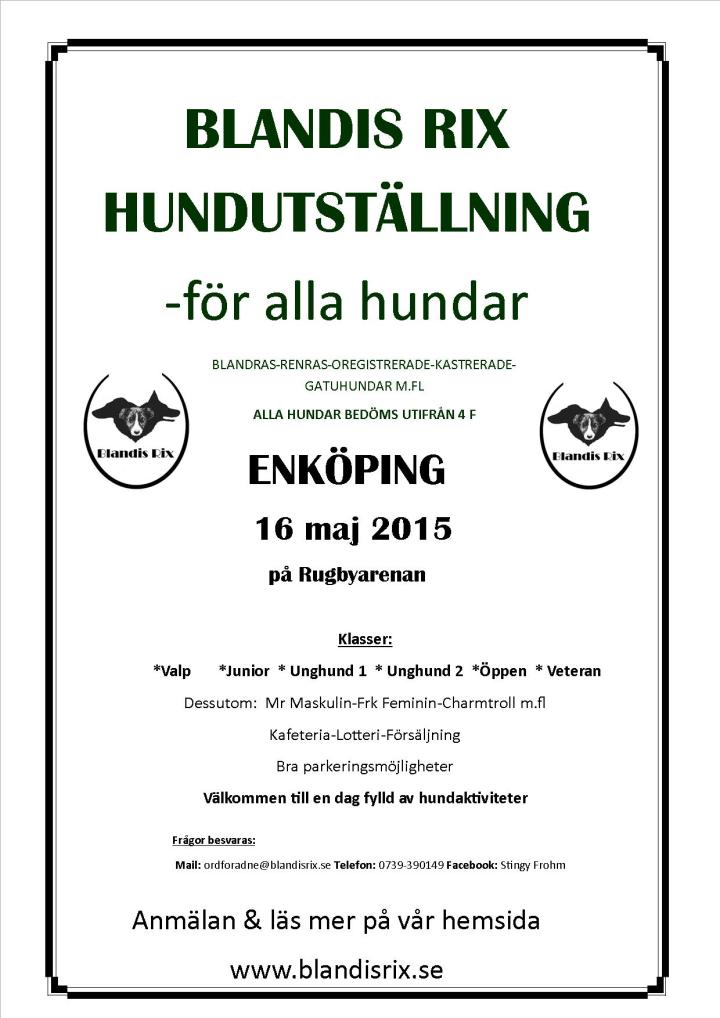PM UtstÃ¤llning EnkÃ¶ping 2015