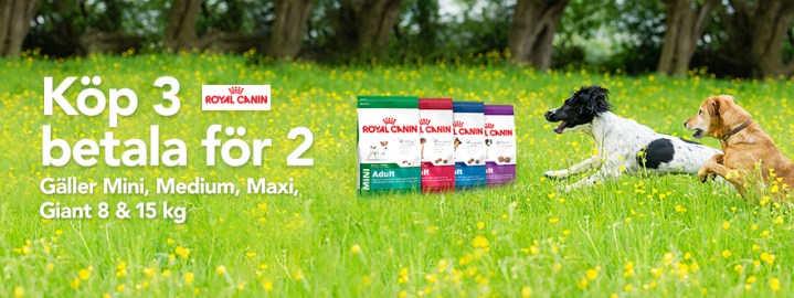 Royal Canin 3 foÌˆr 2 Hund