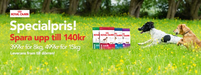 Royal Canin Mini, Med, Maxi, Giant