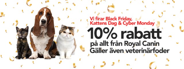 RC VetZoo-880x330-BF3