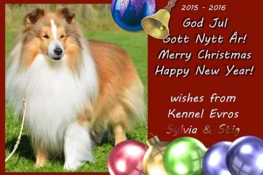 FB_IMG_1450427552658