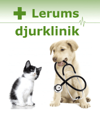 lerum-2-rader-text-stor