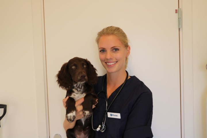 lina-gruvstad-firstvet