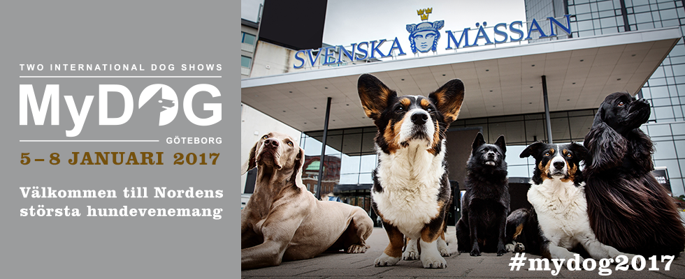 mydog_980x400_2017_sv.png
