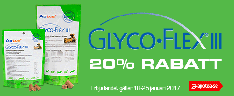 glycoflex_20%25